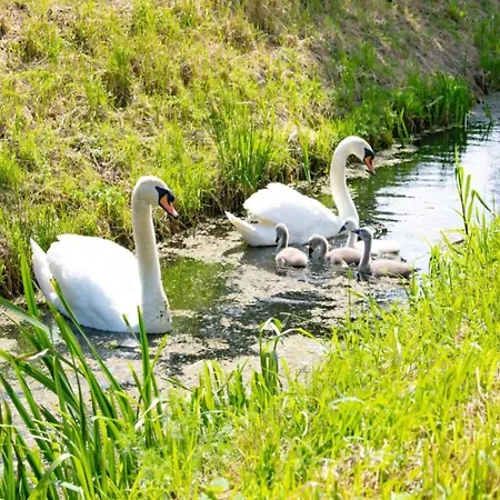 Getaway With Garden In Gelderland, Cleaning Included Tatil Evi *