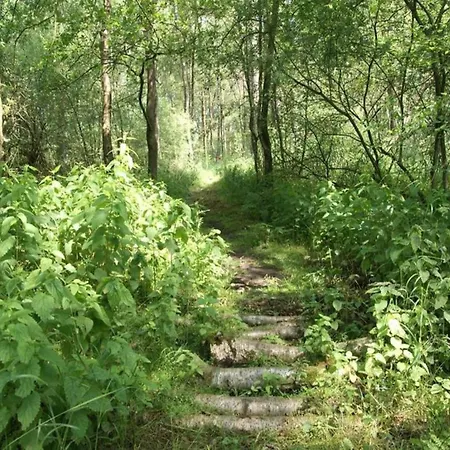 Getaway With Garden In Gelderland, Cleaning Included Tatil Evi